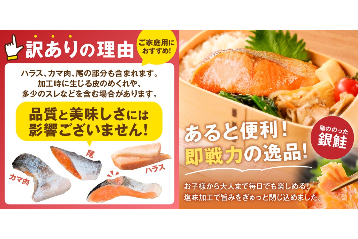 【C-173】【訳あり】塩銀鮭切り身 甘塩仕立て(1.6kg)【隔月定期便(計2回発送)】