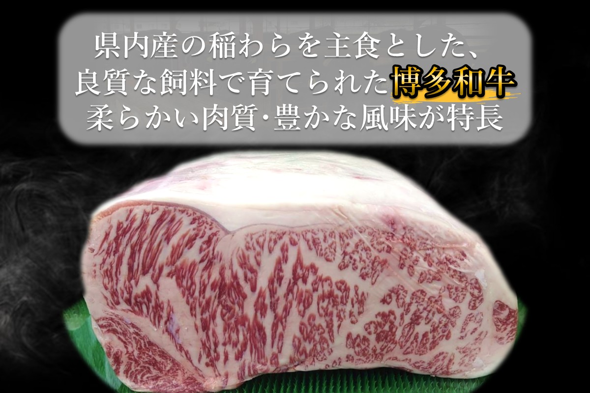 【D9-008】プロトン冷凍 博多和牛ロース焼肉500g【特製オリジナルお肉のソース付き】