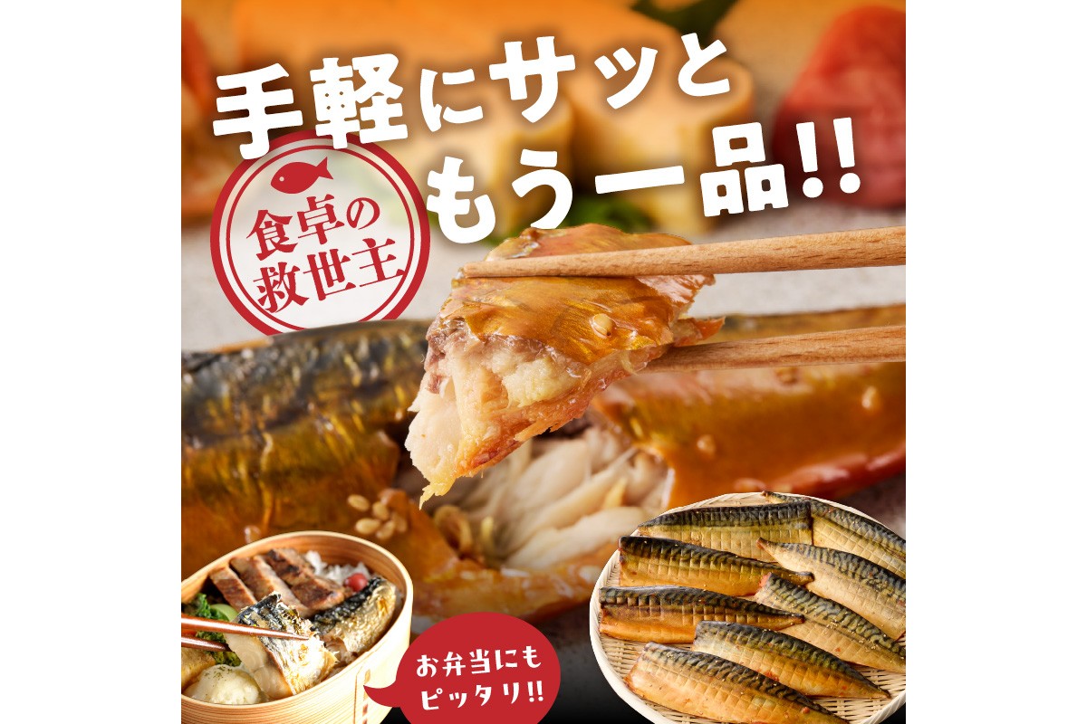 【E-103】【骨取り】さば使用 さばみりん干し(九州風の甘め味付) 20枚入