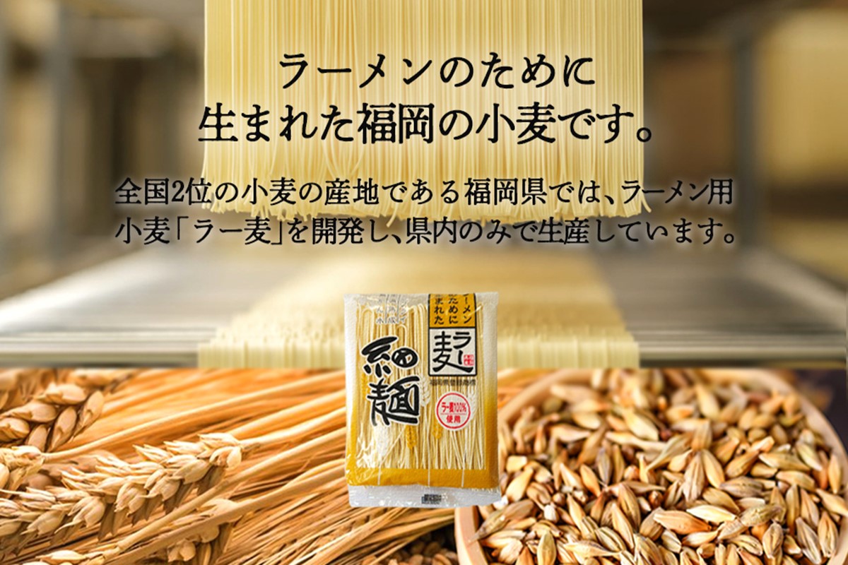 【Z3-023】＼ポスト投函／博多のラーメン 4食 ゆうパケットでお届け！