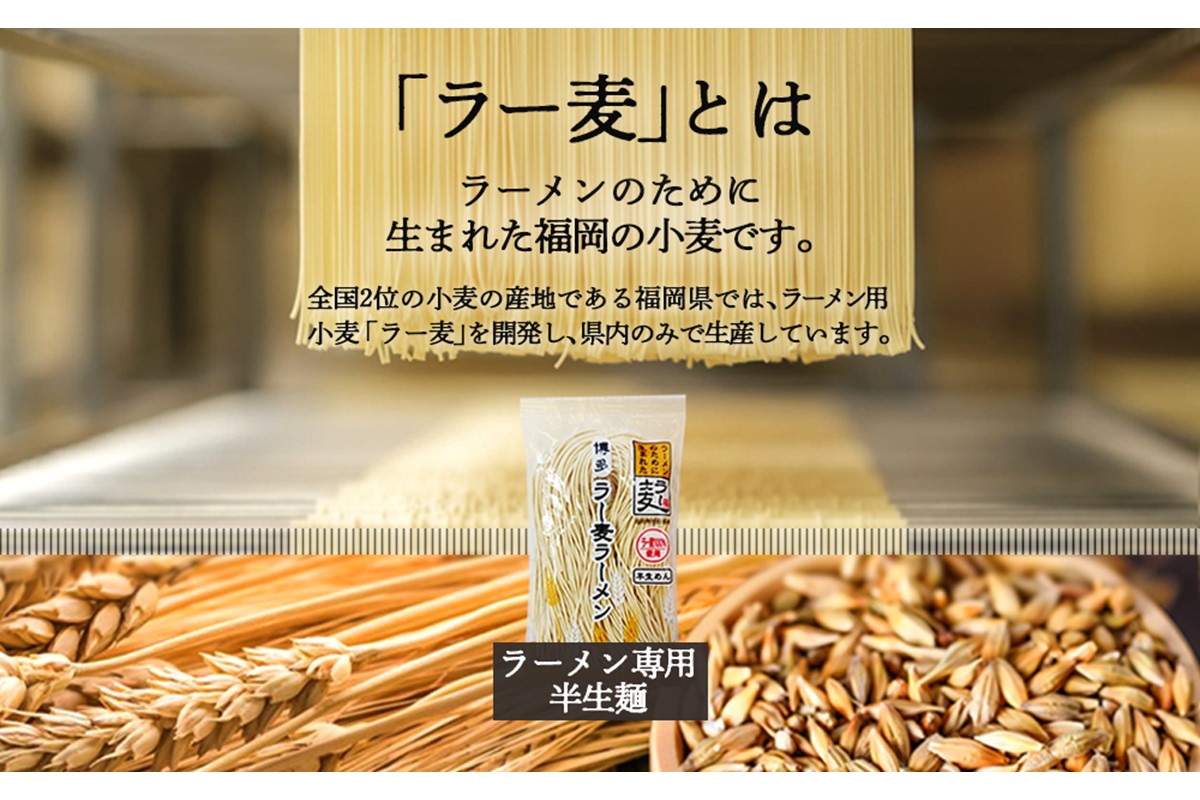 【Z5-017】＼ポスト投函／博多 豚こつ至福のラーメン 4食 ゆうパケットでお届け！