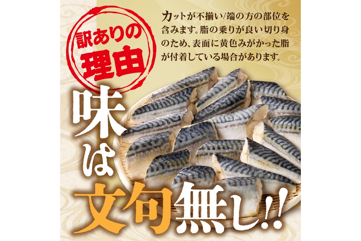 【Z9-023】【訳あり】骨取り 塩さば切り身(600gx1袋)