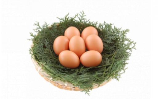 【B3-011】うちのたまご醤油セット(2回お届け)