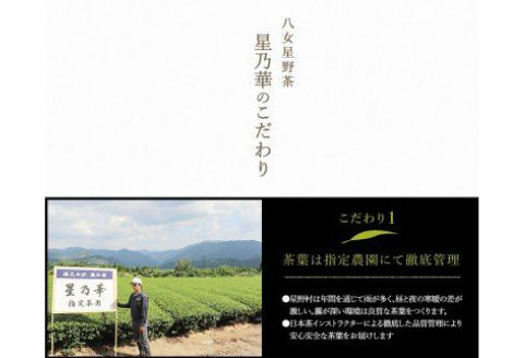 【A5-315】八女星野玉露ティーバッグ2.5g×100個