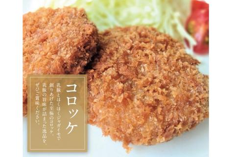 【A7-036】乳豚 餃子50個＆コロッケ10個セット