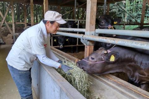 【C-151】＜なかむら謹製＞【博多和牛】黒毛和牛ももしゃぶしゃぶ用うす切り500g