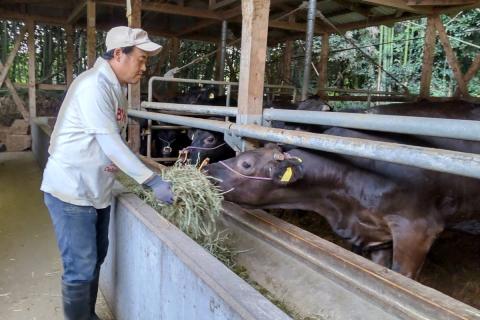 【E-083】＜なかむら謹製＞【博多和牛】黒毛和牛ももすき焼き用うす切り1.0kg