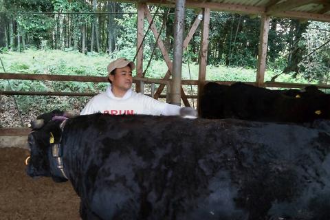 【E-085】＜なかむら謹製＞【博多和牛】黒毛和牛肩ロースしゃぶしゃぶ用うす切り800g