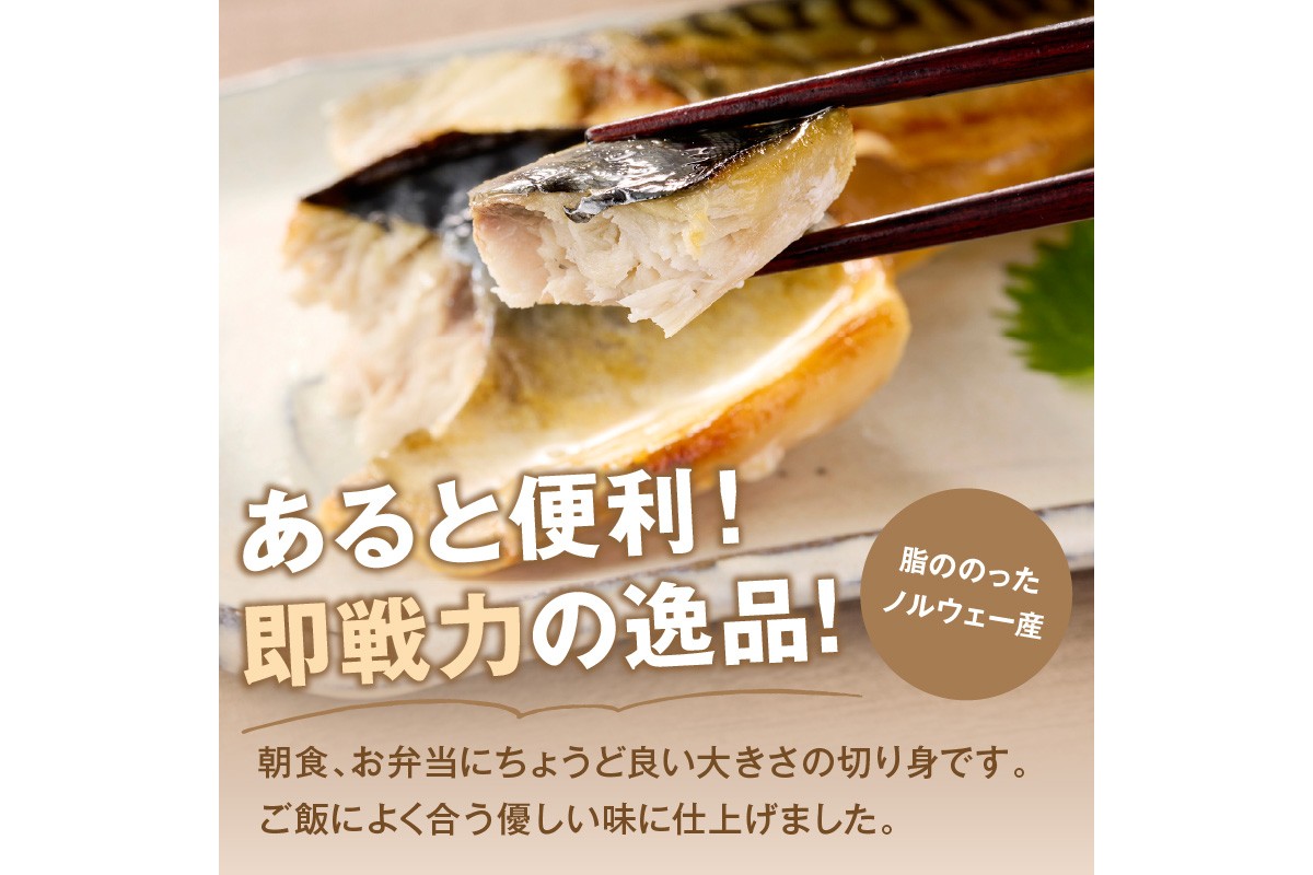 【A2-152】【訳あり】骨取り 塩さば切り身(600gx2袋)