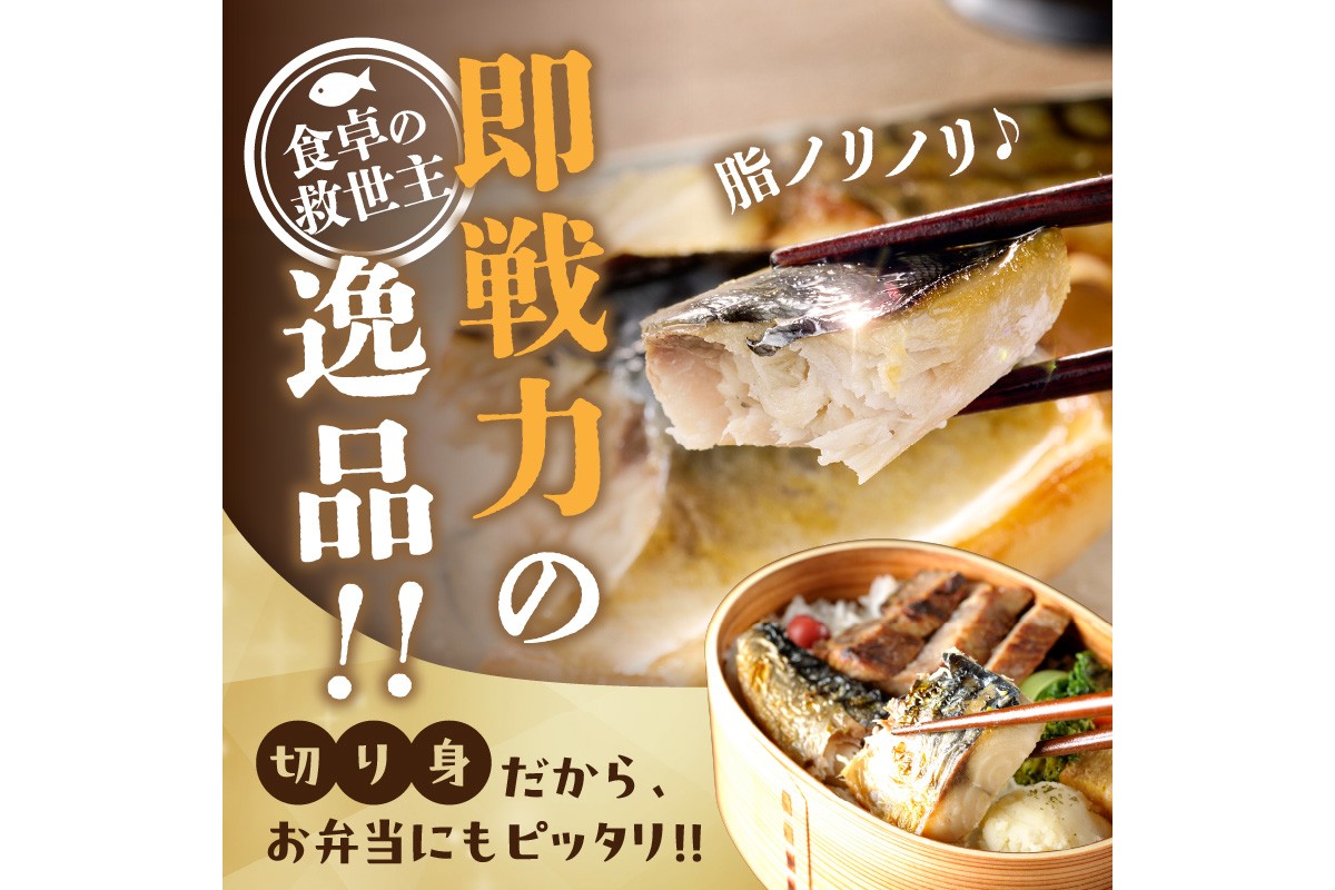 【A2-152】【訳あり】骨取り 塩さば切り身(600gx2袋)