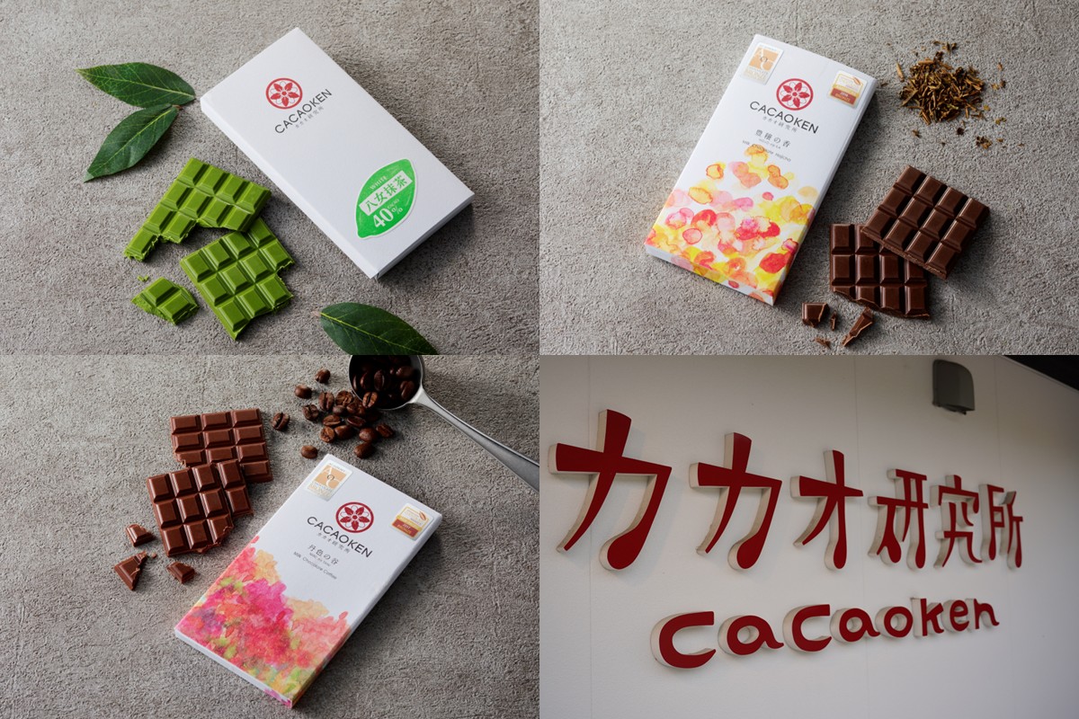 【B-205】鉄板焼ハンバーグ(2種各3個)＆カカオ研究所 茶葉のチョコセット