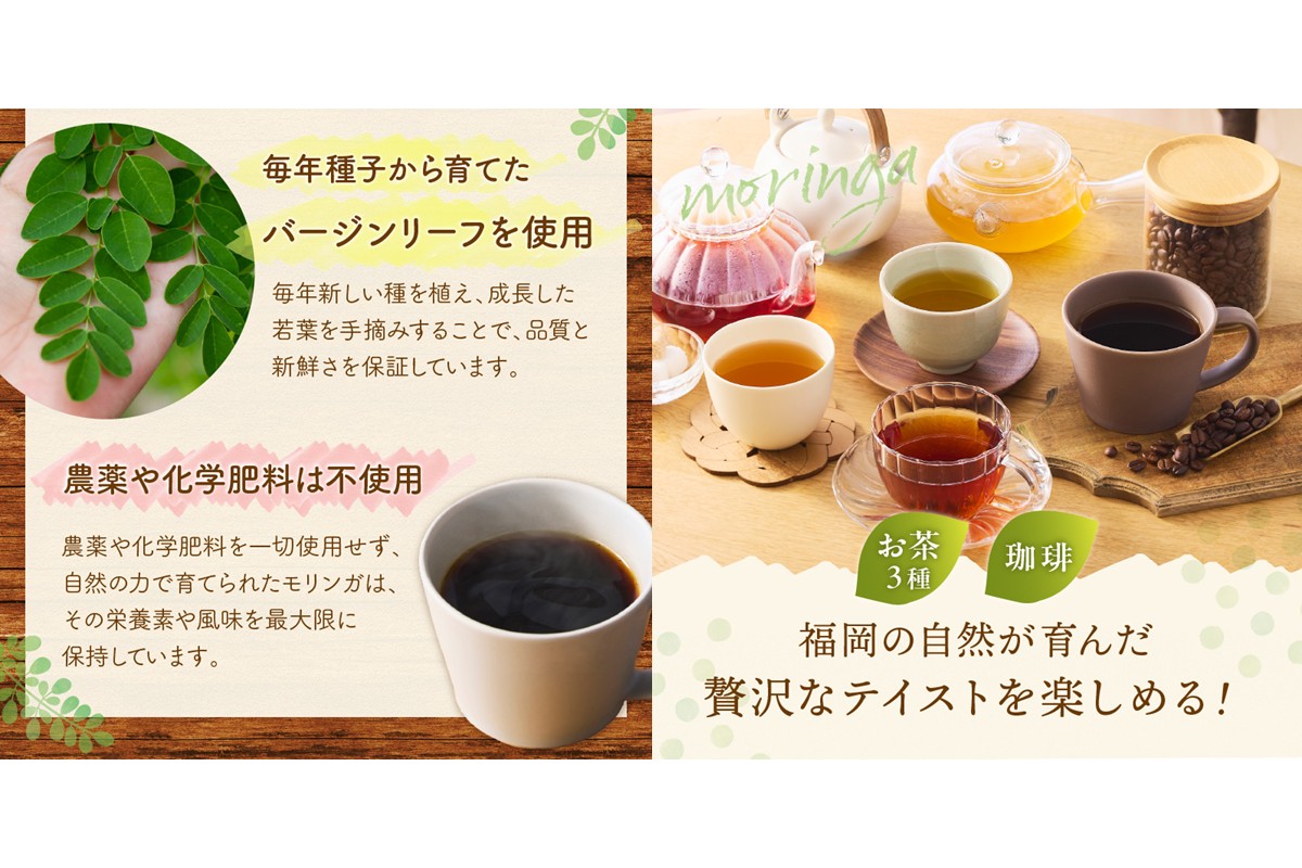 【B3-064】モリンガ珈琲ドリップタイプ・モリンガ日本茶3種