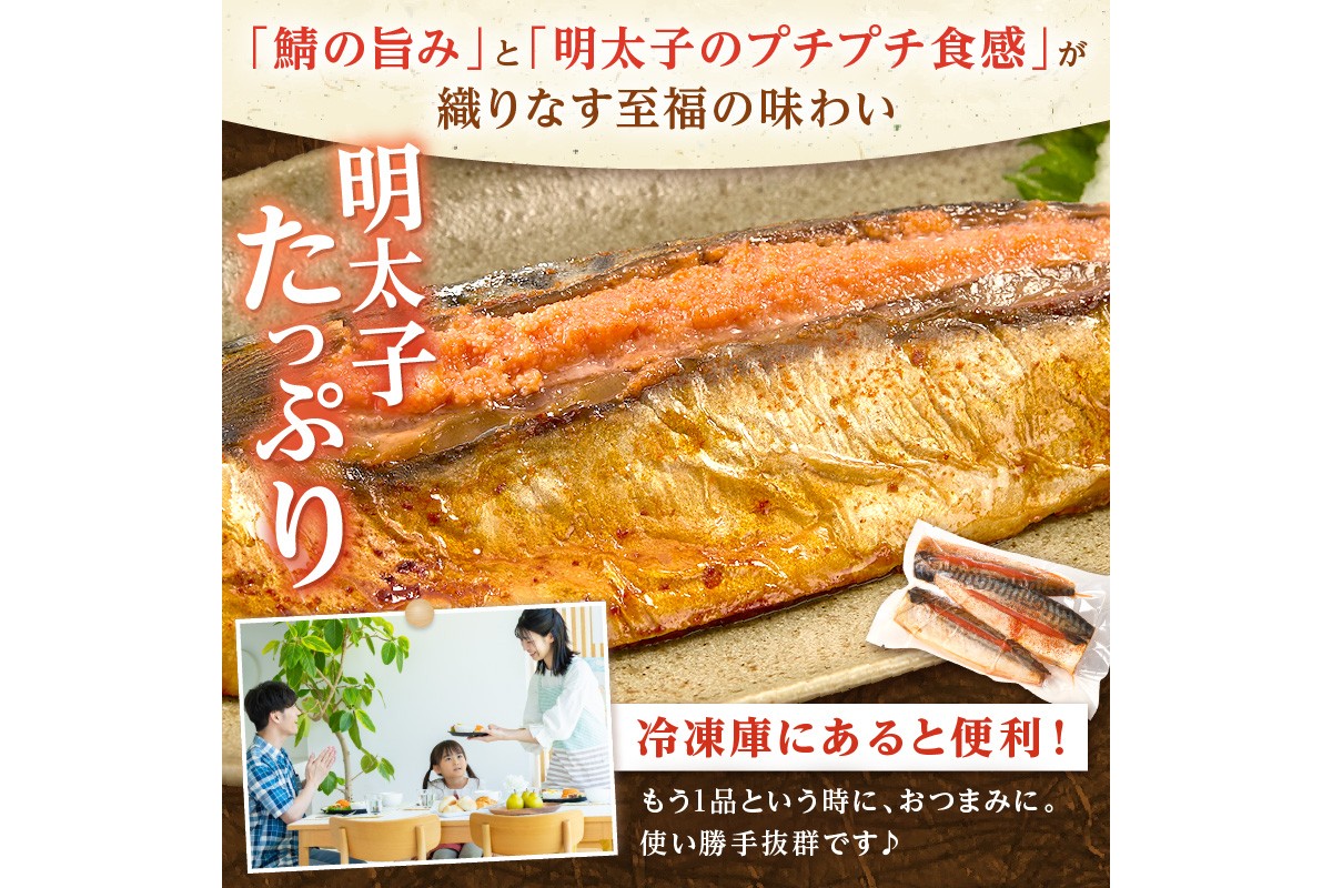 【B4-043】さば明太 9尾