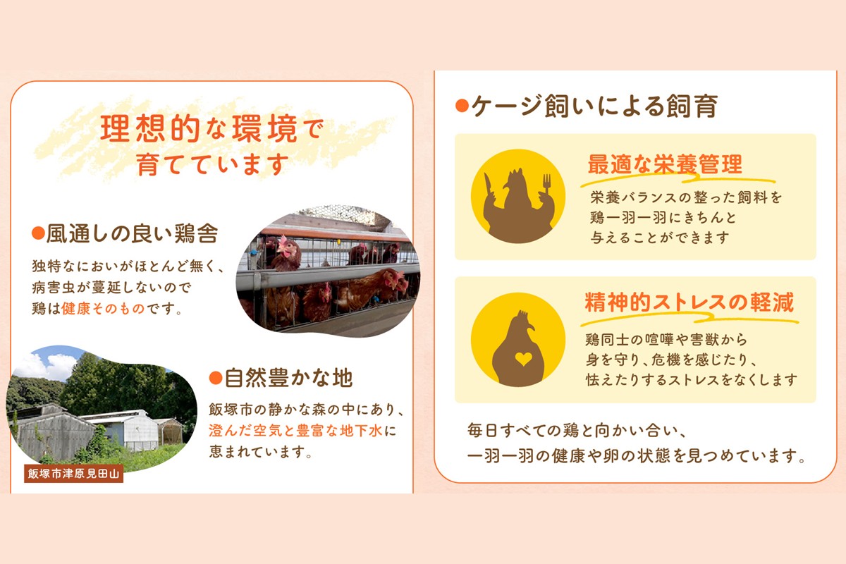 【C5-031】テトラエッグ(40個/月)【3ヵ月定期便】