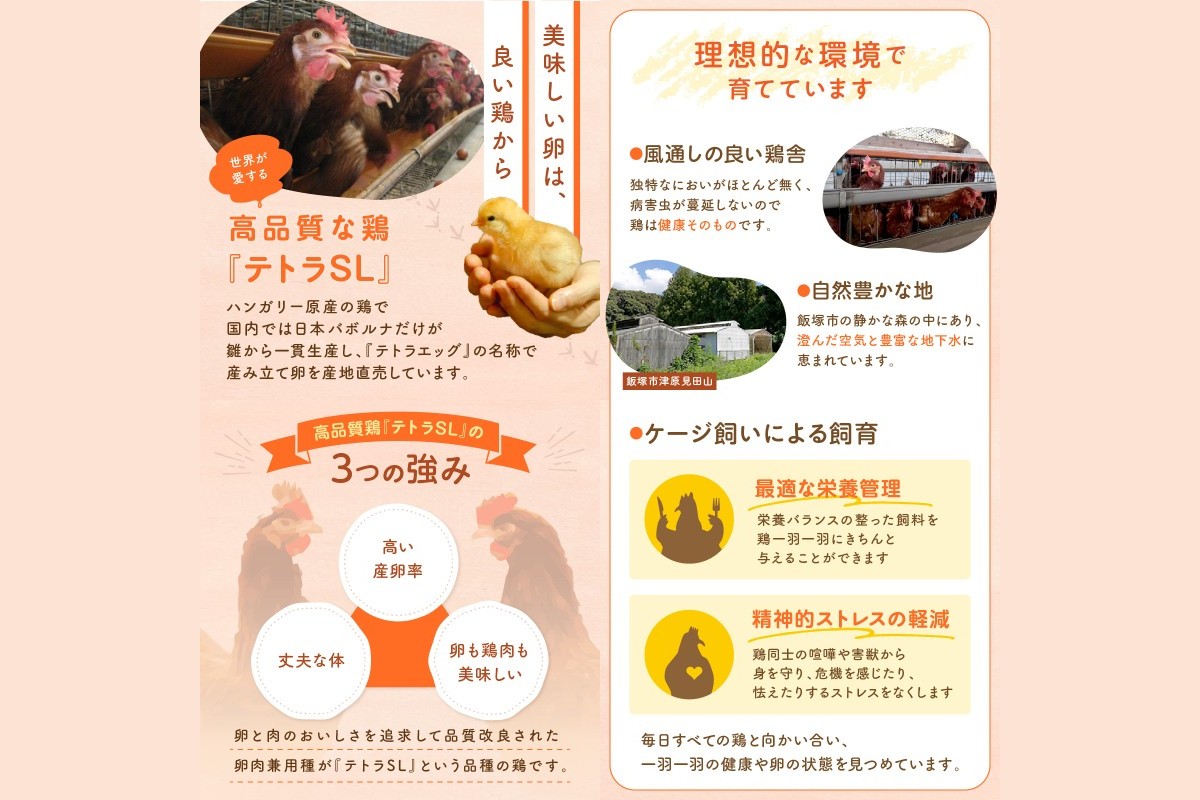 【E7-004】テトラエッグ特選卵『バボルナの宝石』（30個/月）【6カ月定期便】