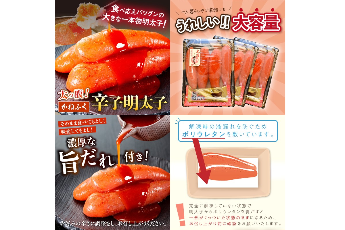 【F8-005】かねふく辛子明太子&デミソースのハンバーグ2種セット【3ヶ月毎定期便(計4回発送)】