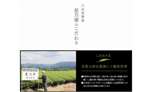 【C-132】八女星野茶 星乃憩 煎茶120ｇ×1 深蒸し茶120ｇ×1