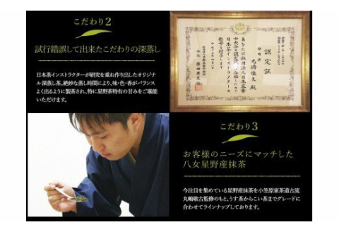 【A5-315】八女星野玉露ティーバッグ2.5g×100個