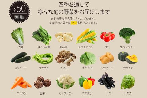 【B3-072】筑前のお野菜4～7種類【3カ月定期便】