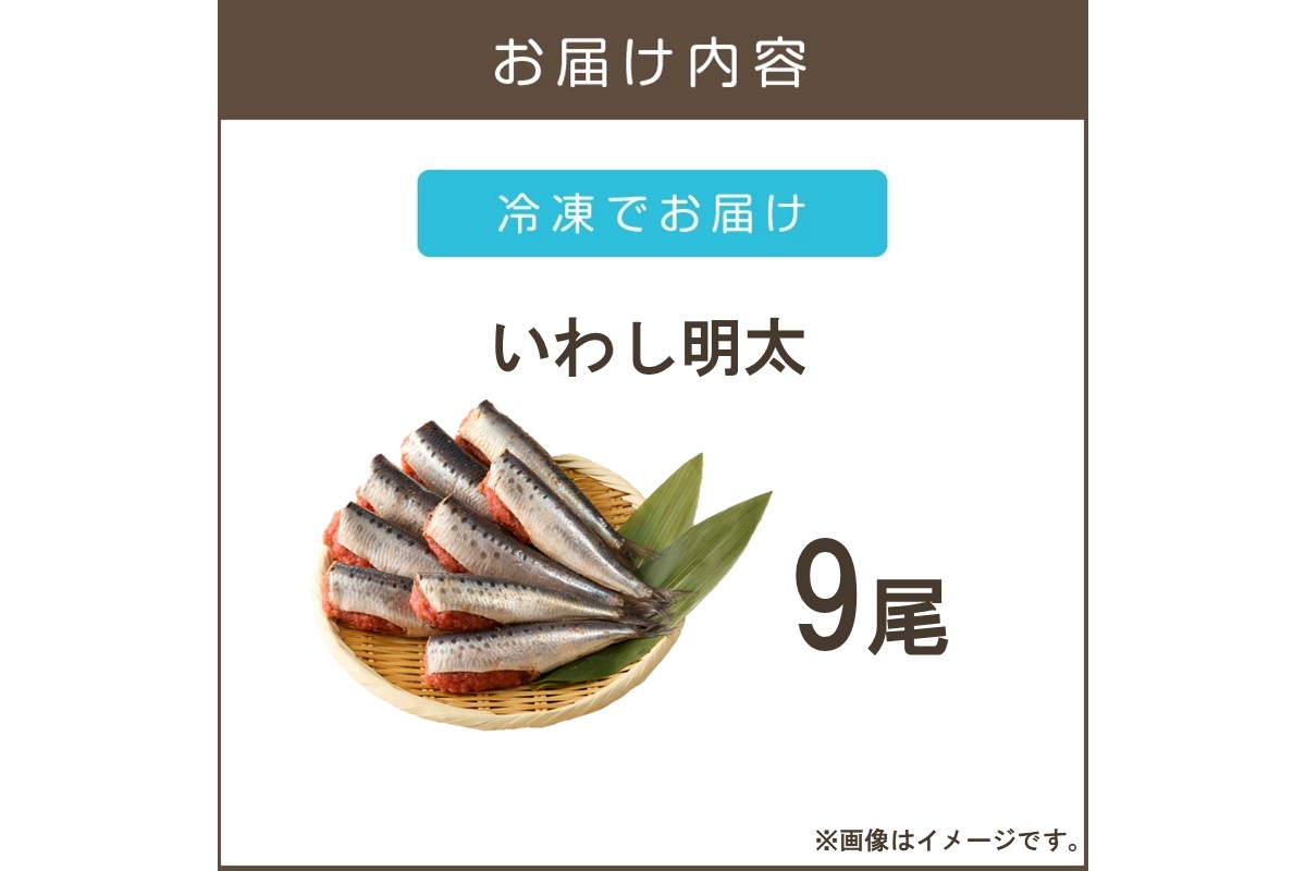 【A3-085】いわし明太 9尾