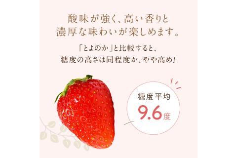 【A5-526】福岡県特産！『あまおう』＜2026年1月から発送開始分先行予約＞