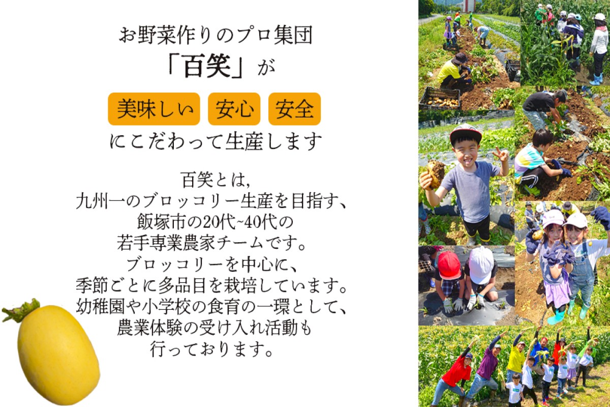【A6-044】農家直送 程よい甘さのマクワウリ約3.5kg (8-12個)＜2026年7月下旬から発送開始分先行予約＞