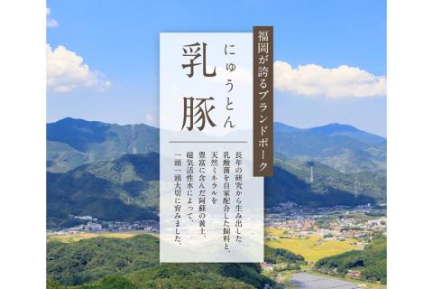 【A7-035】乳豚 粗挽きハンバーグ10個