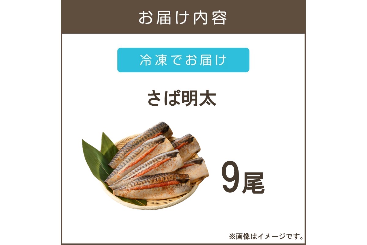 【B4-043】さば明太 9尾
