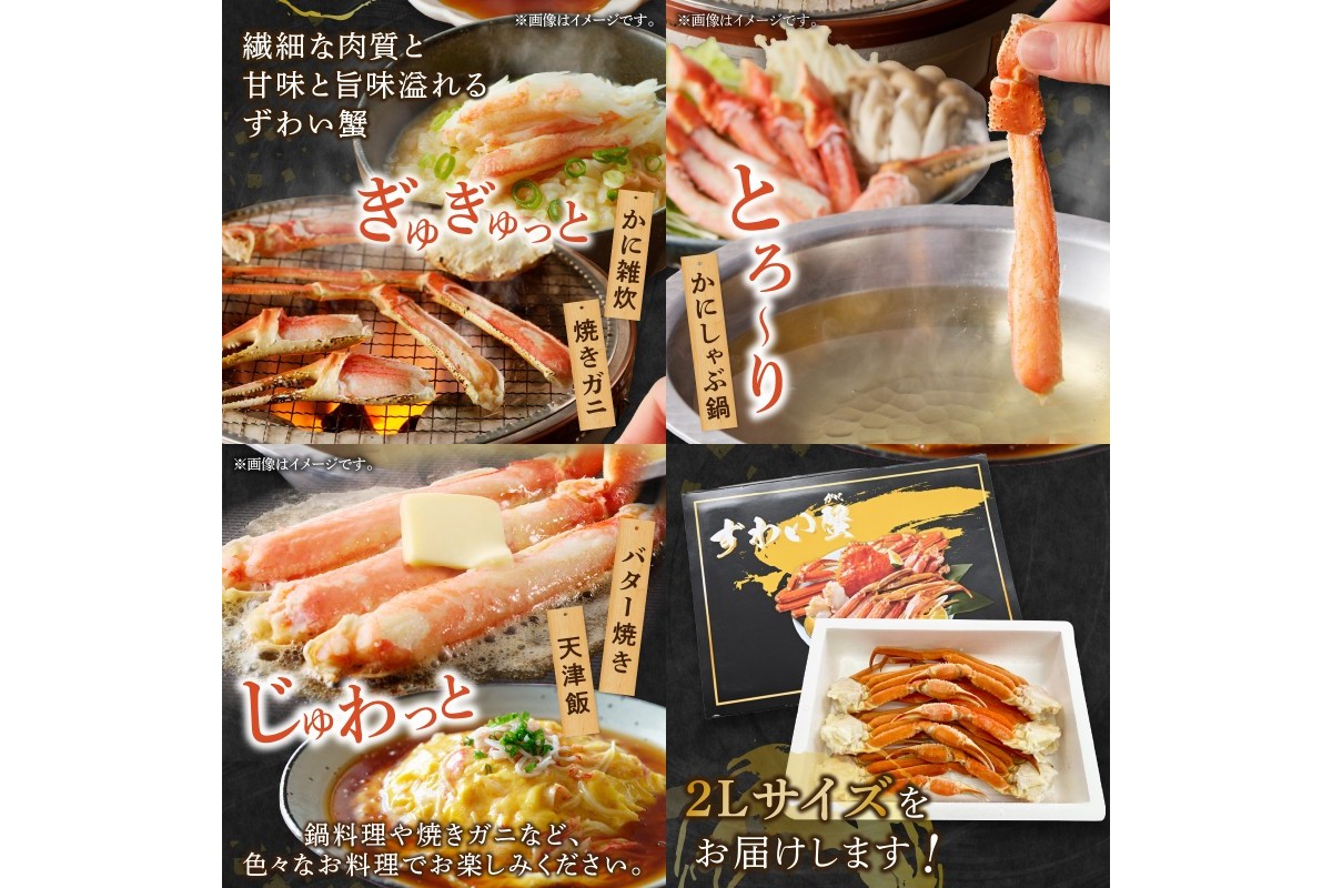 【C-143】数量限定 ボイルずわいがにセクション2Lサイズ(約1.4kg)
