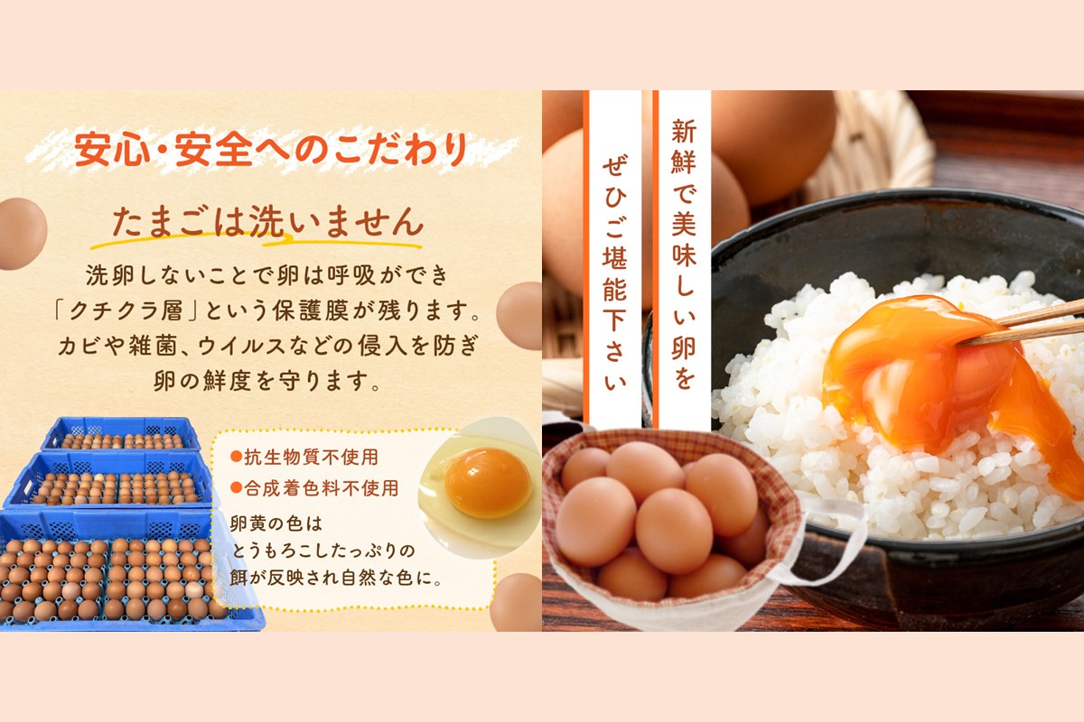 【F8-004】テトラエッグ(40個/月)【6ヵ月定期便】