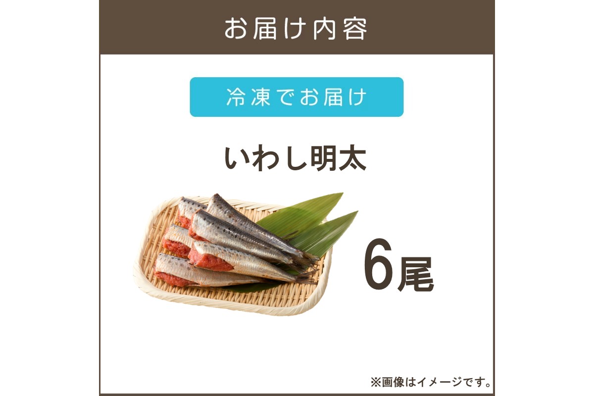 【Z9-020】いわし明太 6尾