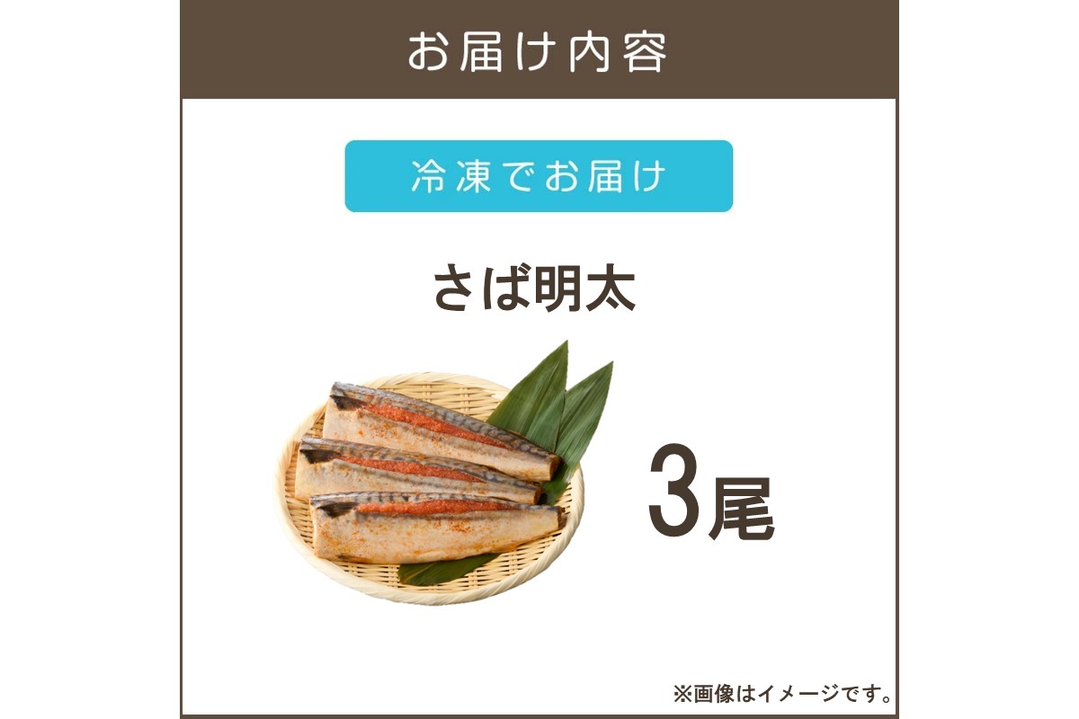 【Z9-021】さば明太 3尾