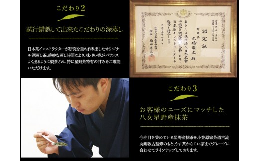 【A5-251】八女星野玉露ティーバッグ（50パック）