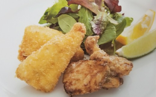 【A5-263】はかた地どり もも肉 (約1kg)