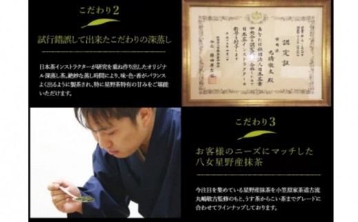 【A5-273】八女星野茶 自家用煎茶詰合わせ 煎茶100g×4袋