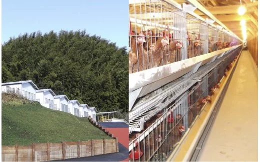 【B3-011】うちのたまご醤油セット(2回お届け)