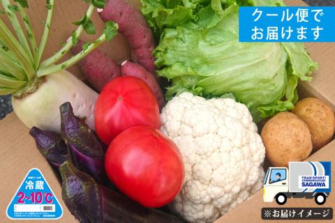 【B3-072】筑前のお野菜4～7種類【3カ月定期便】