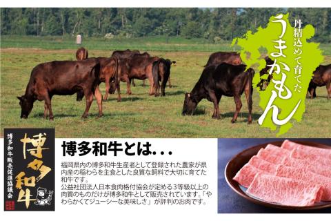 【B1-021】博多和牛直火焼きローストビーフ250g