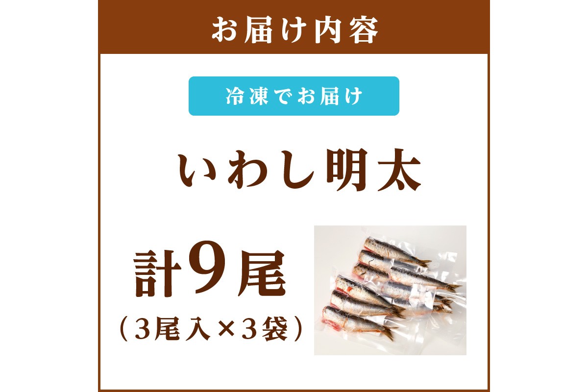 【A3-085】いわし明太 9尾