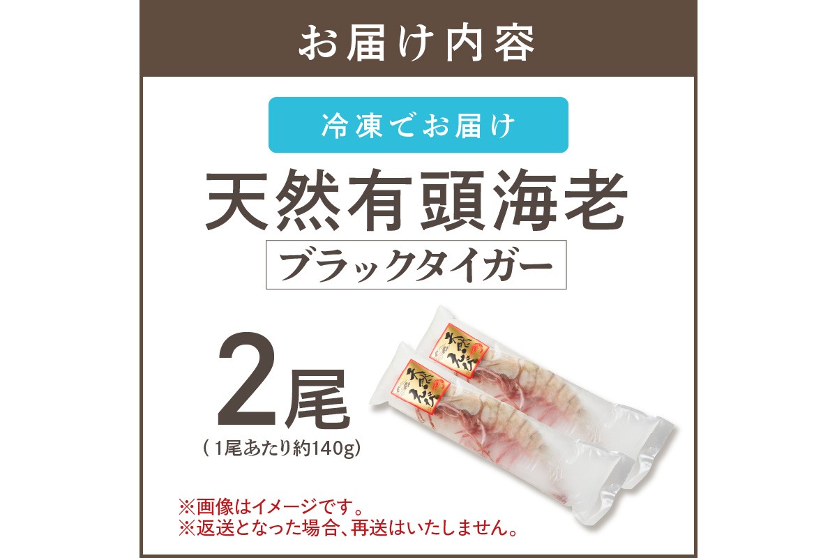 【A5-318】特大 天然海老(有頭･2尾)