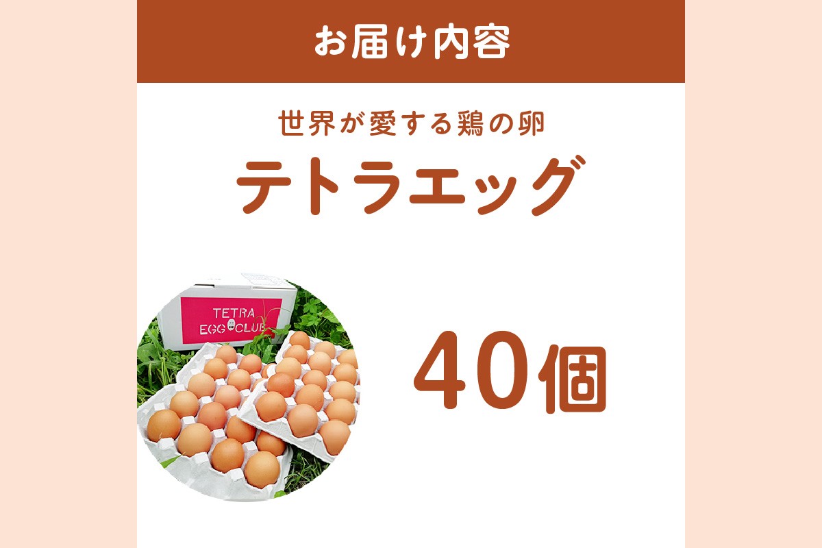 【A5-459】テトラエッグ40個入
