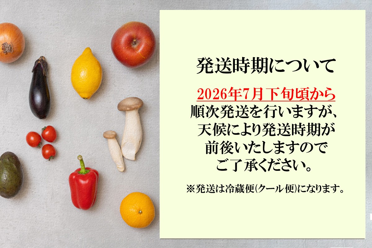 【A6-044】農家直送 程よい甘さのマクワウリ約3.5kg (8-12個)＜2026年7月下旬から発送開始分先行予約＞