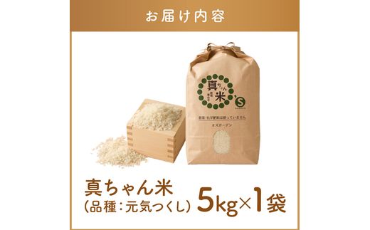 【B7-036】【令和7年産】農薬・化学肥料不使用 真ちゃん米 5kg