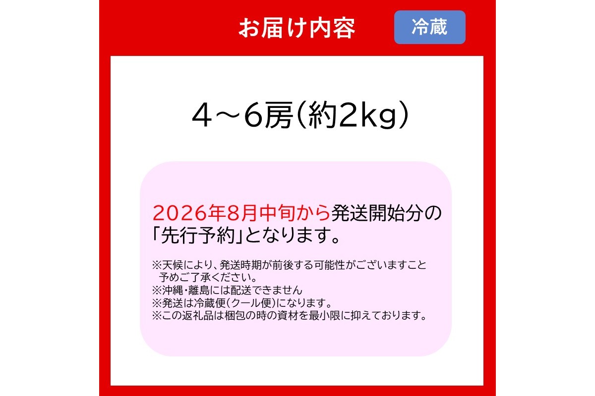 【B6-028】シャインマスカット4-6房(約2kg)＜2026年8月中旬から発送開始分先行予約＞