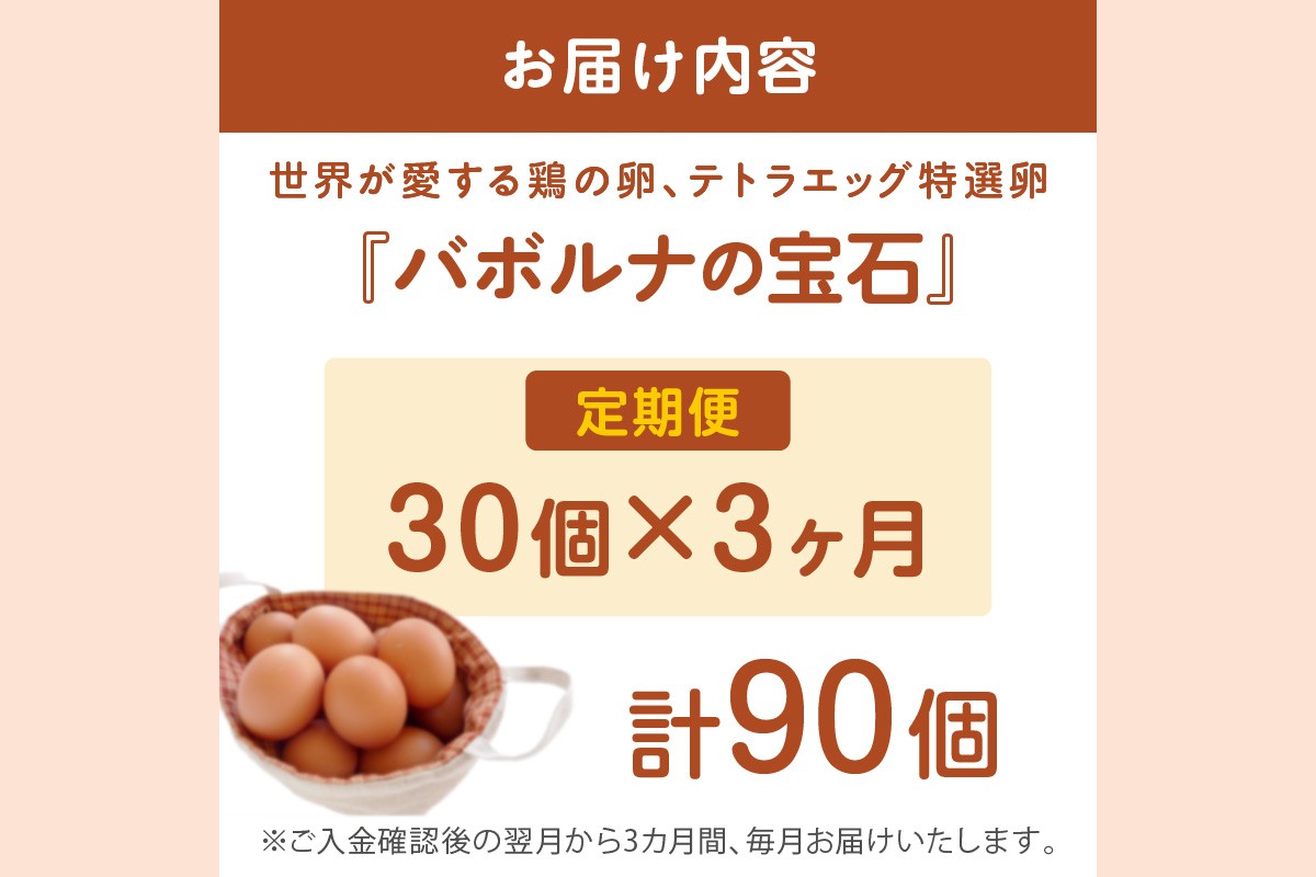 【B9-009】テトラエッグ特選卵『バボルナの宝石』（30個/月）【3カ月定期便】