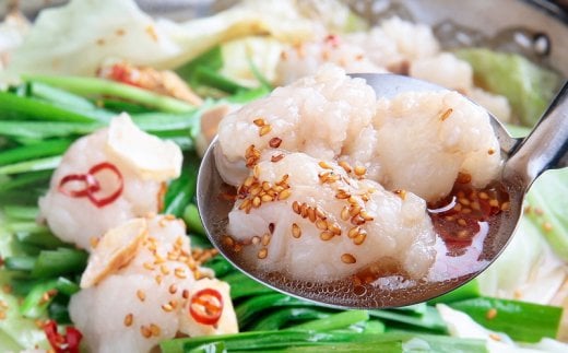 【C-159】極上小腸もつ鍋セット（醤油）2～3人前