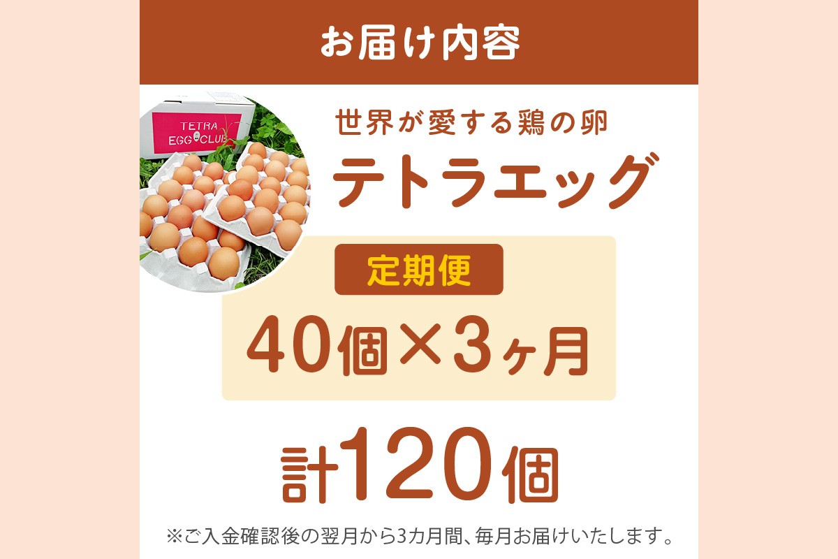 【C5-031】テトラエッグ(40個/月)【3ヵ月定期便】