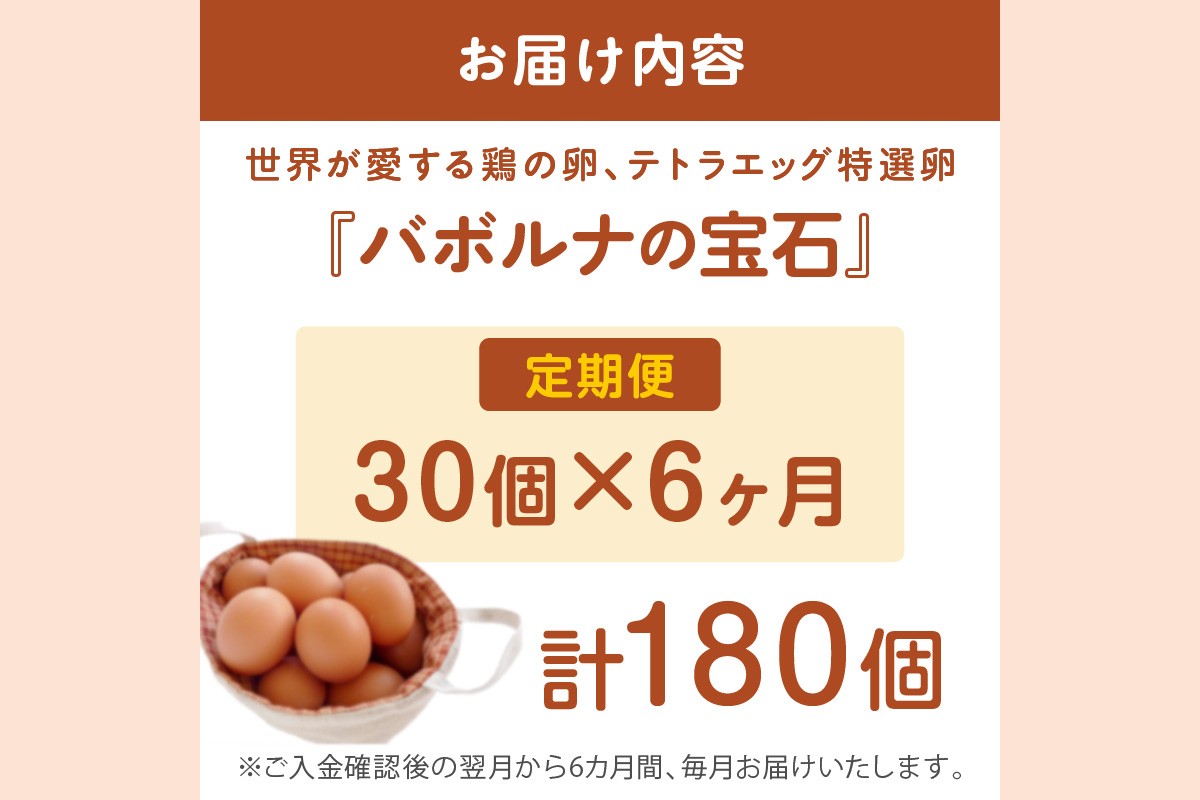 【E7-004】テトラエッグ特選卵『バボルナの宝石』（30個/月）【6カ月定期便】