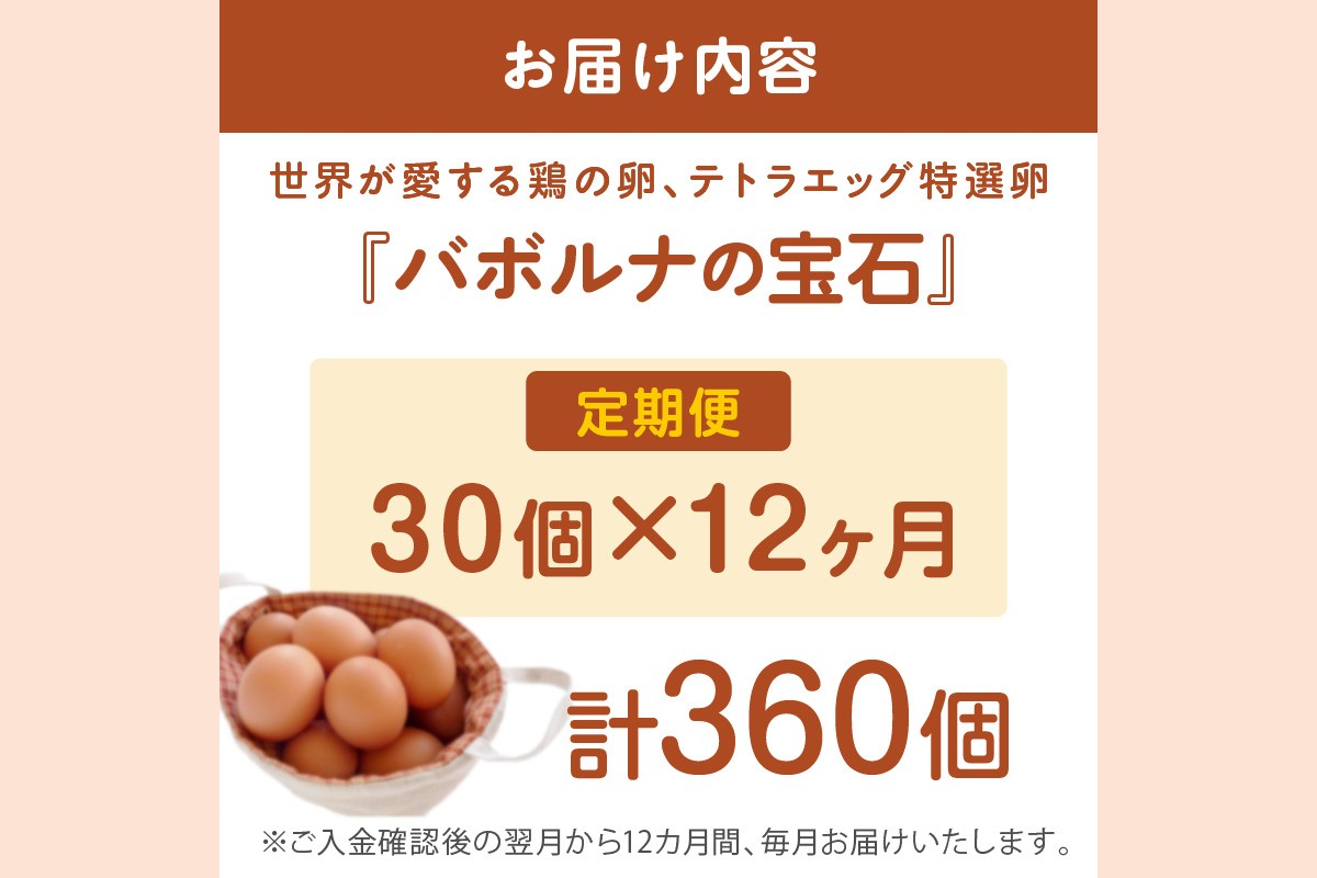 【J11-001】テトラエッグ特選卵『バボルナの宝石』（30個/月）【12カ月定期便】
