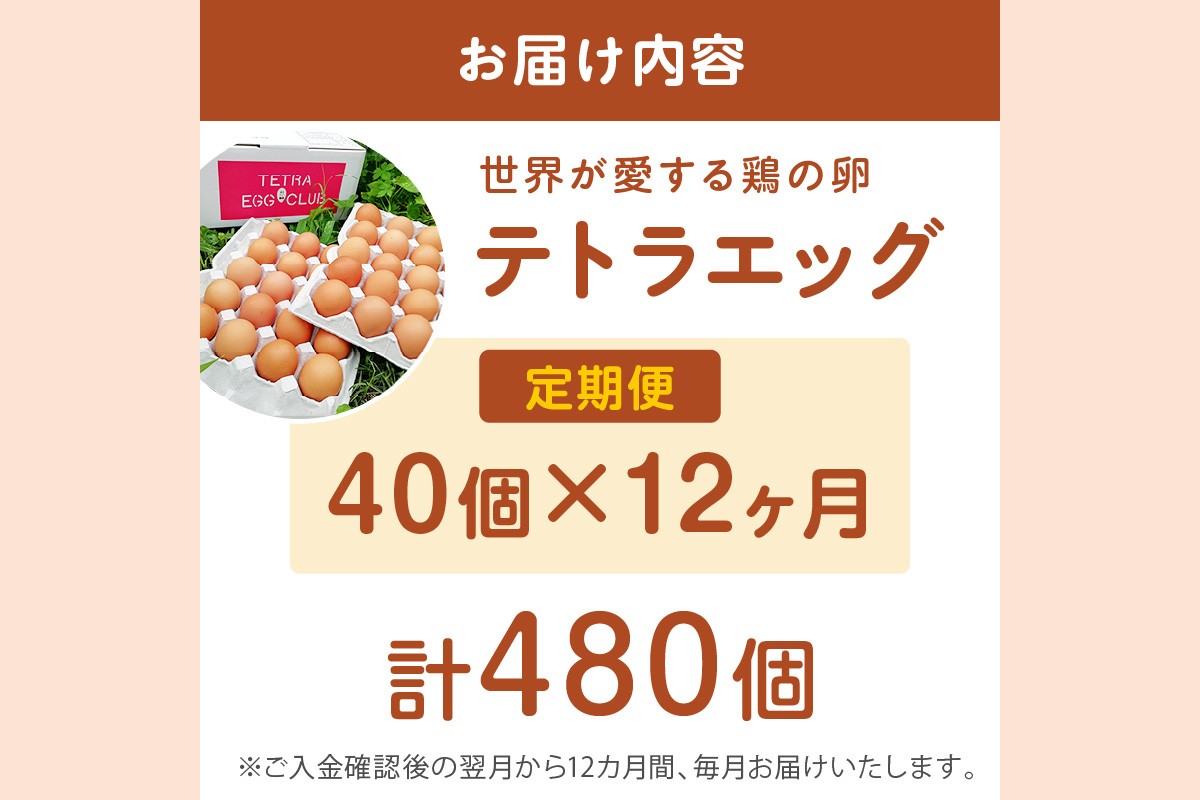 【J3-015】テトラエッグ(40個/月)【12ヵ月定期便】